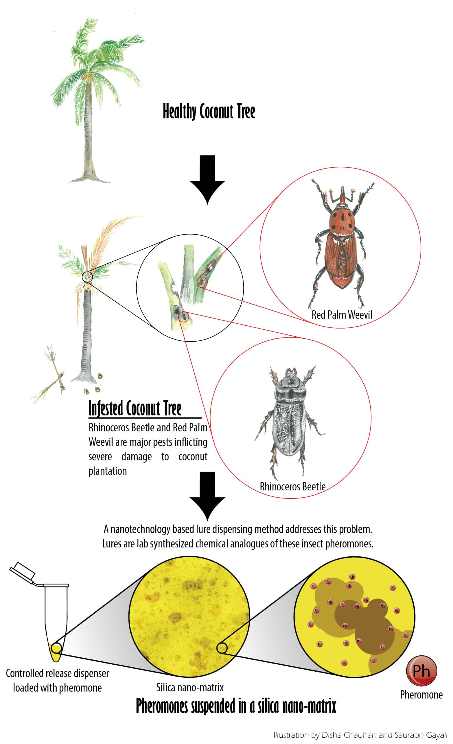 insect dispenser